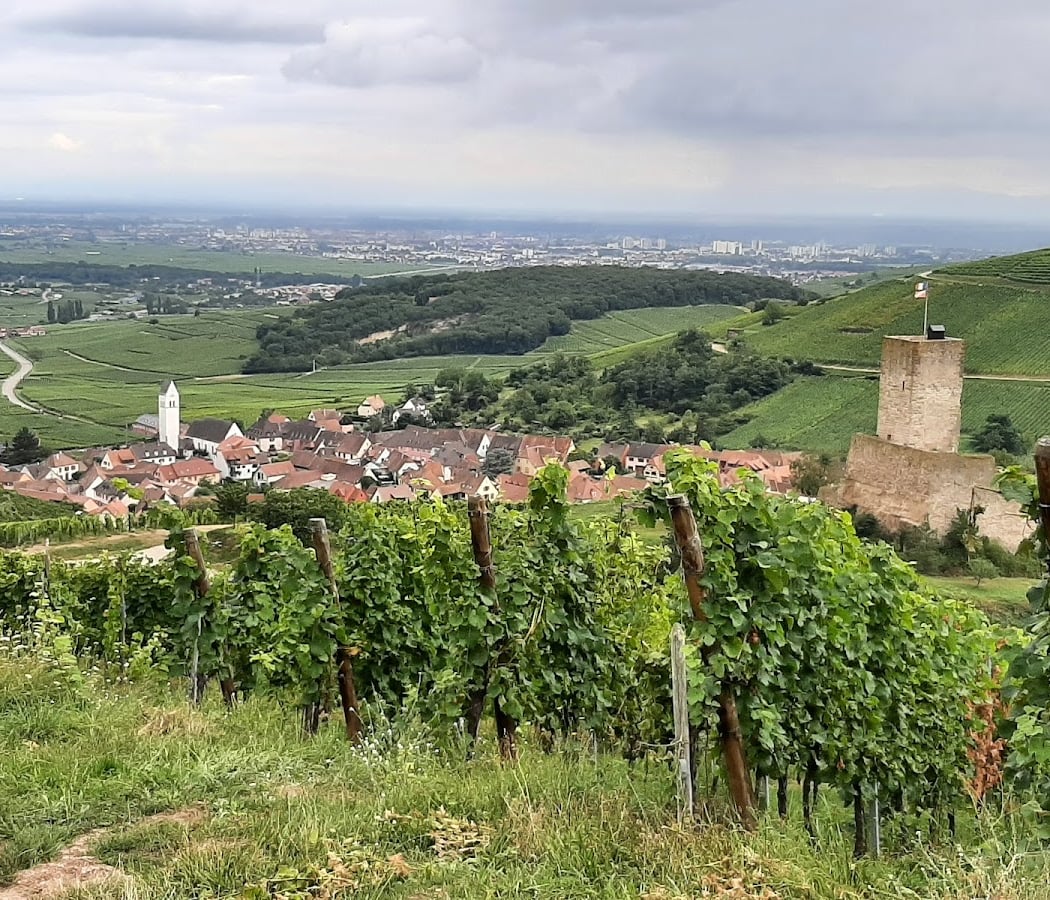Château du Wineck 2