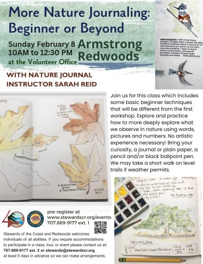 More Nature Journaling: Beginner or Beyond 1