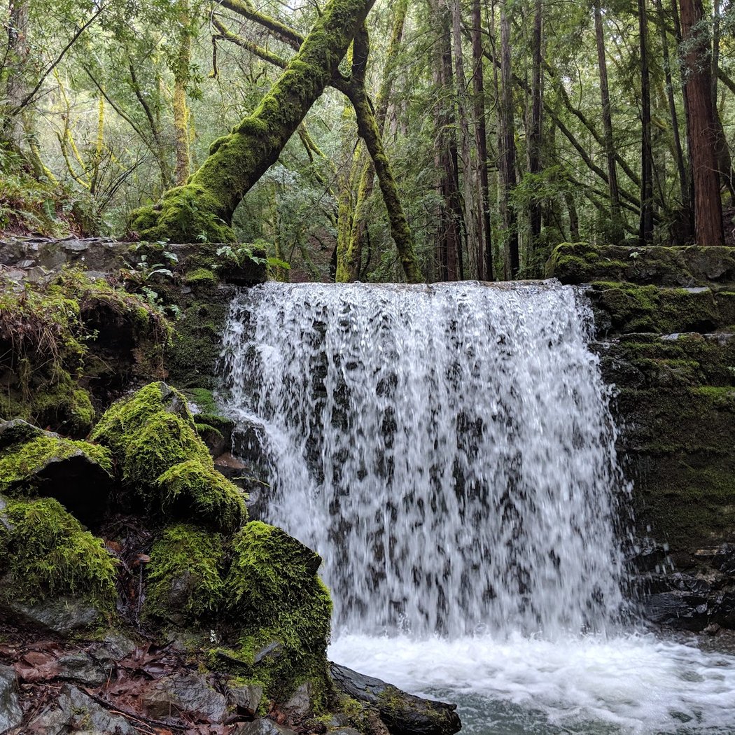 Tucker Cutoff Trail 3