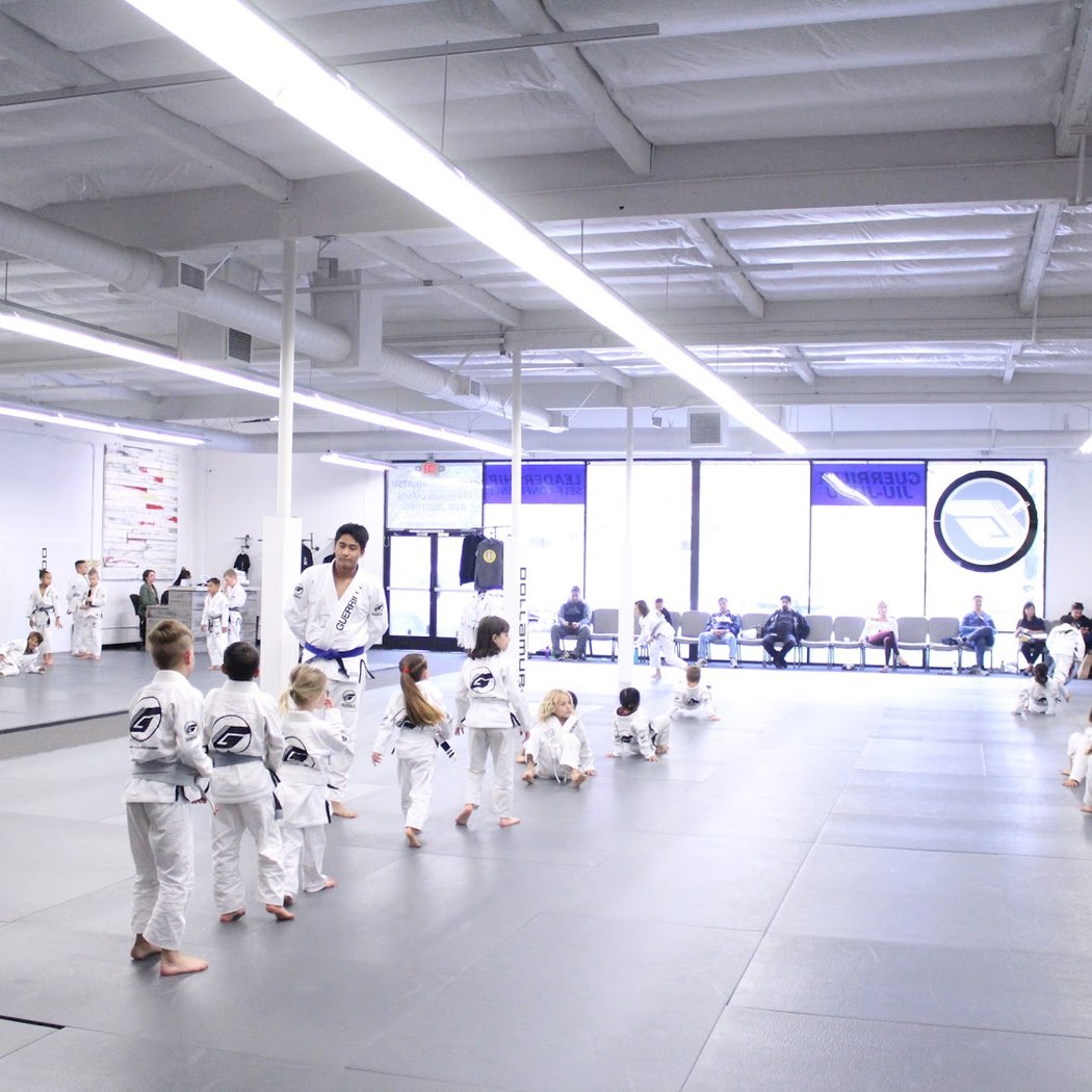 Guerrilla Jiu-Jitsu Martial Arts Academy 2