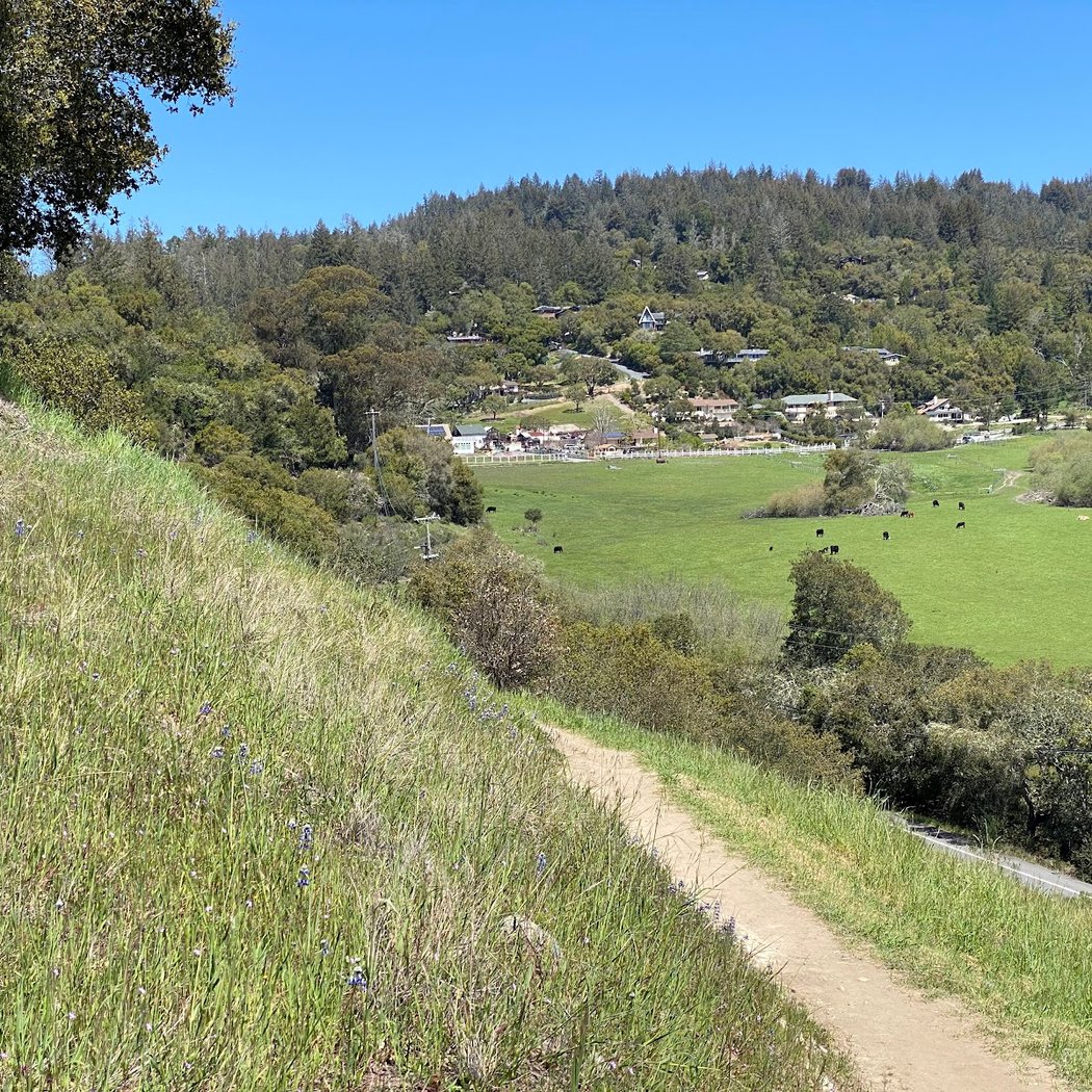 Glenwood Open Space Preserve 2