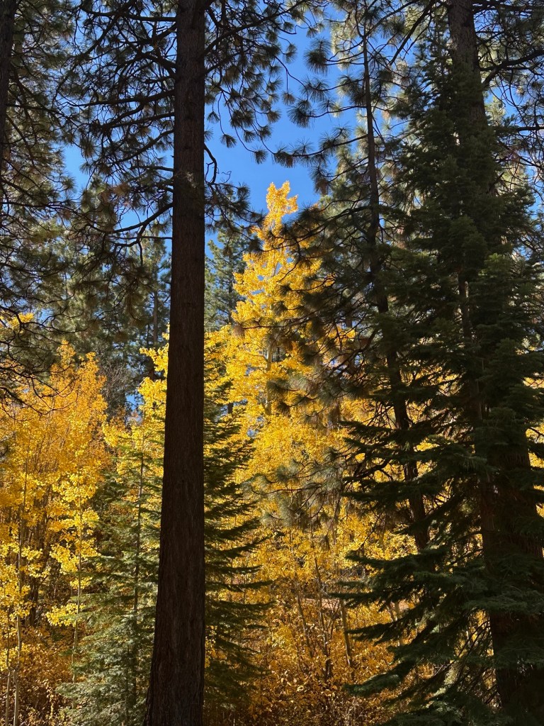 Van Sickle Bi-State Park 2