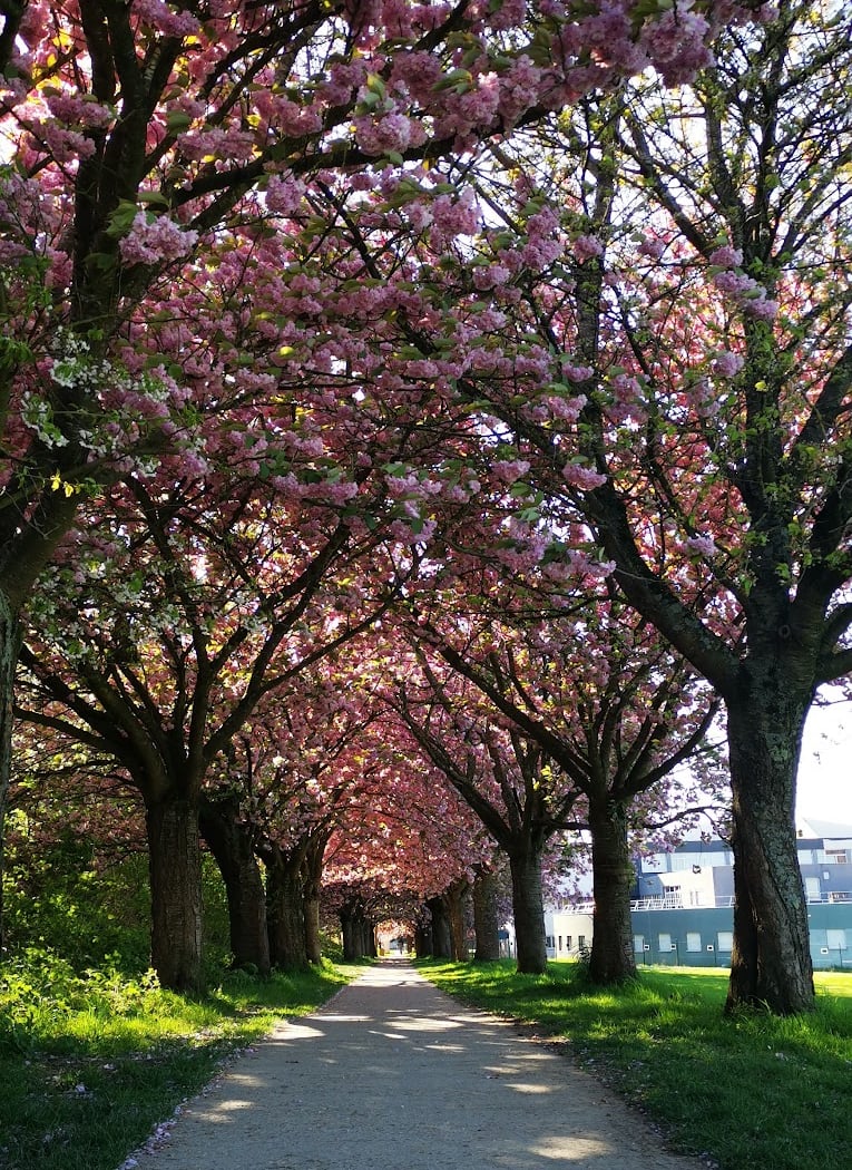 Parc Francois Mitterand 1