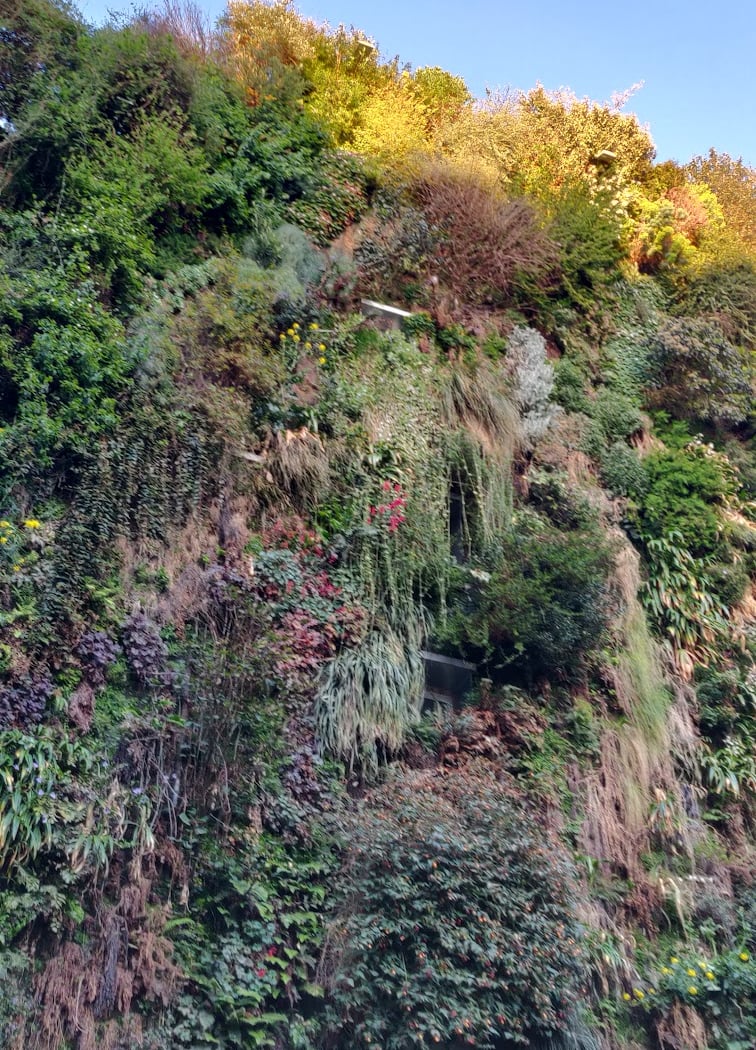 Oasis d'Aboukir 3