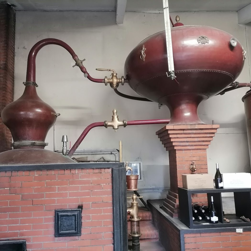 Vignoble Chauraud, Pineau Cognac Vin Cocktail, Guinguette, Gîte 4