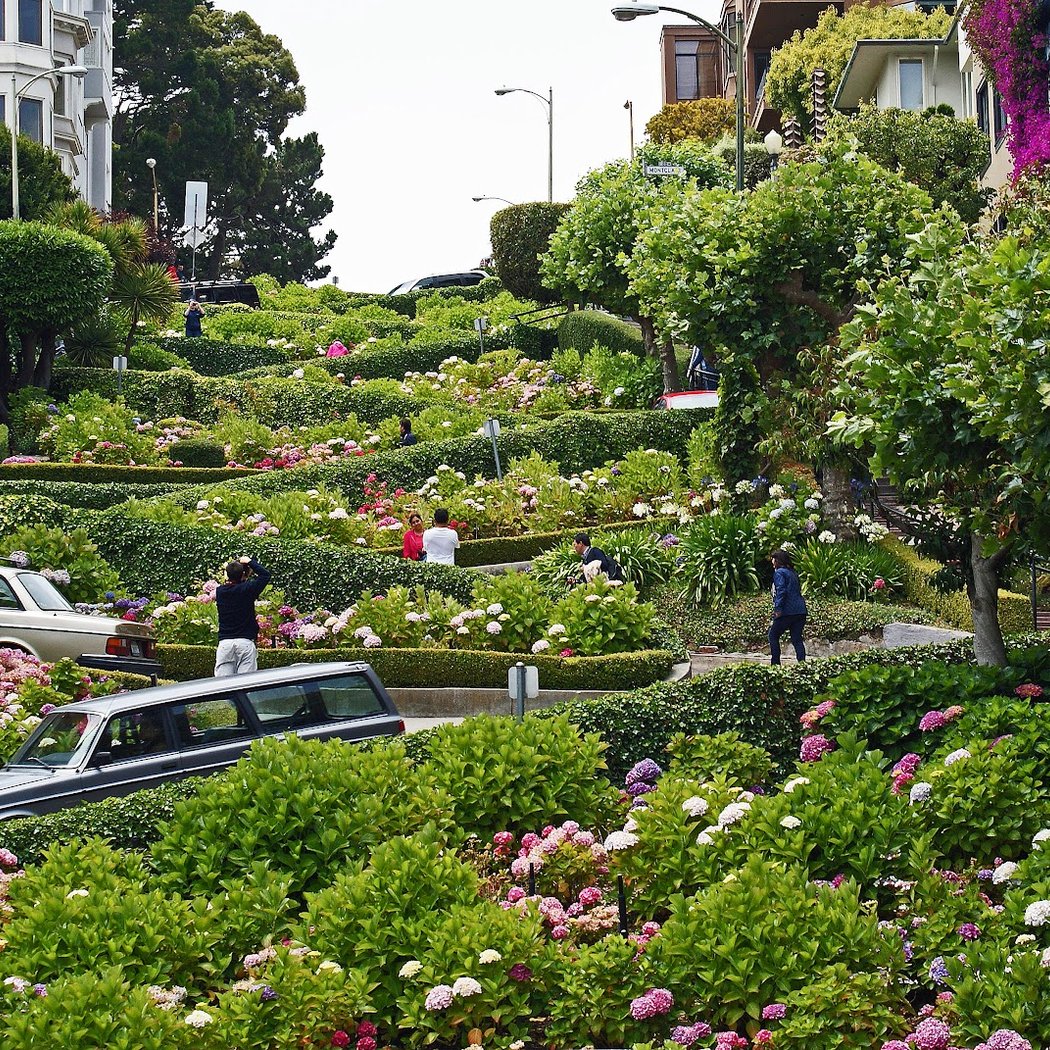 Lombard Street 2