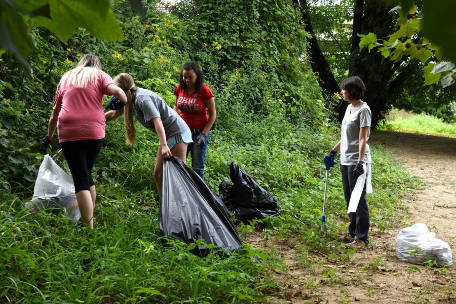 Monthly Neighborhood Cleanup: West Micheltorena & San Andres Street 2