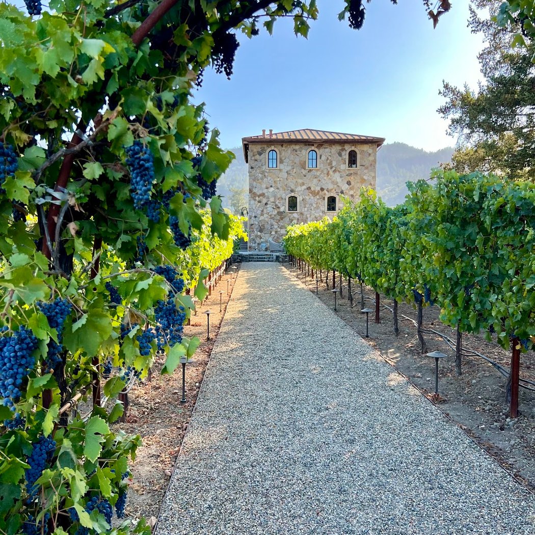 Anomaly Vineyards 1