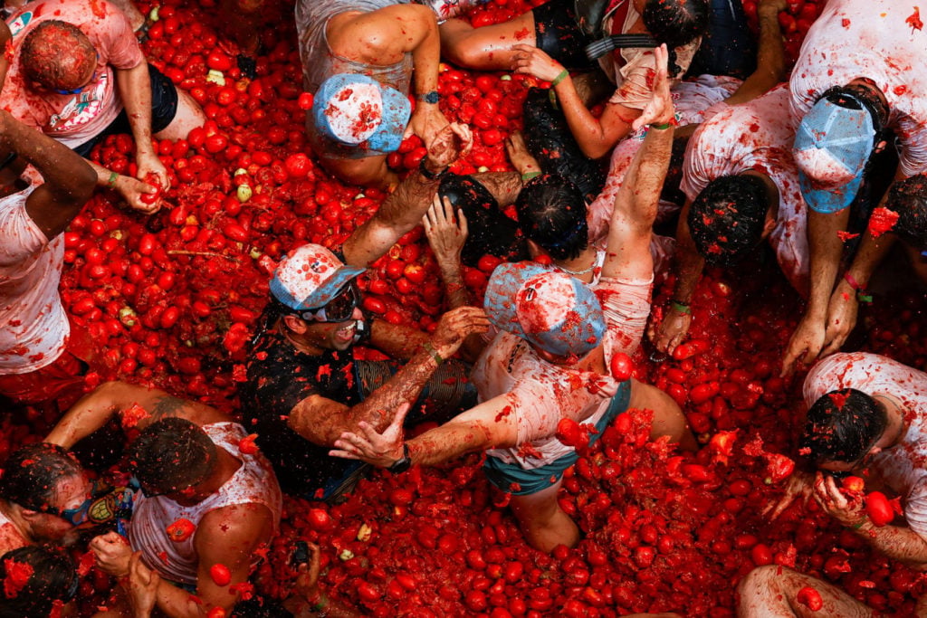 tomatopia iv: once upon a time in Austin Alley