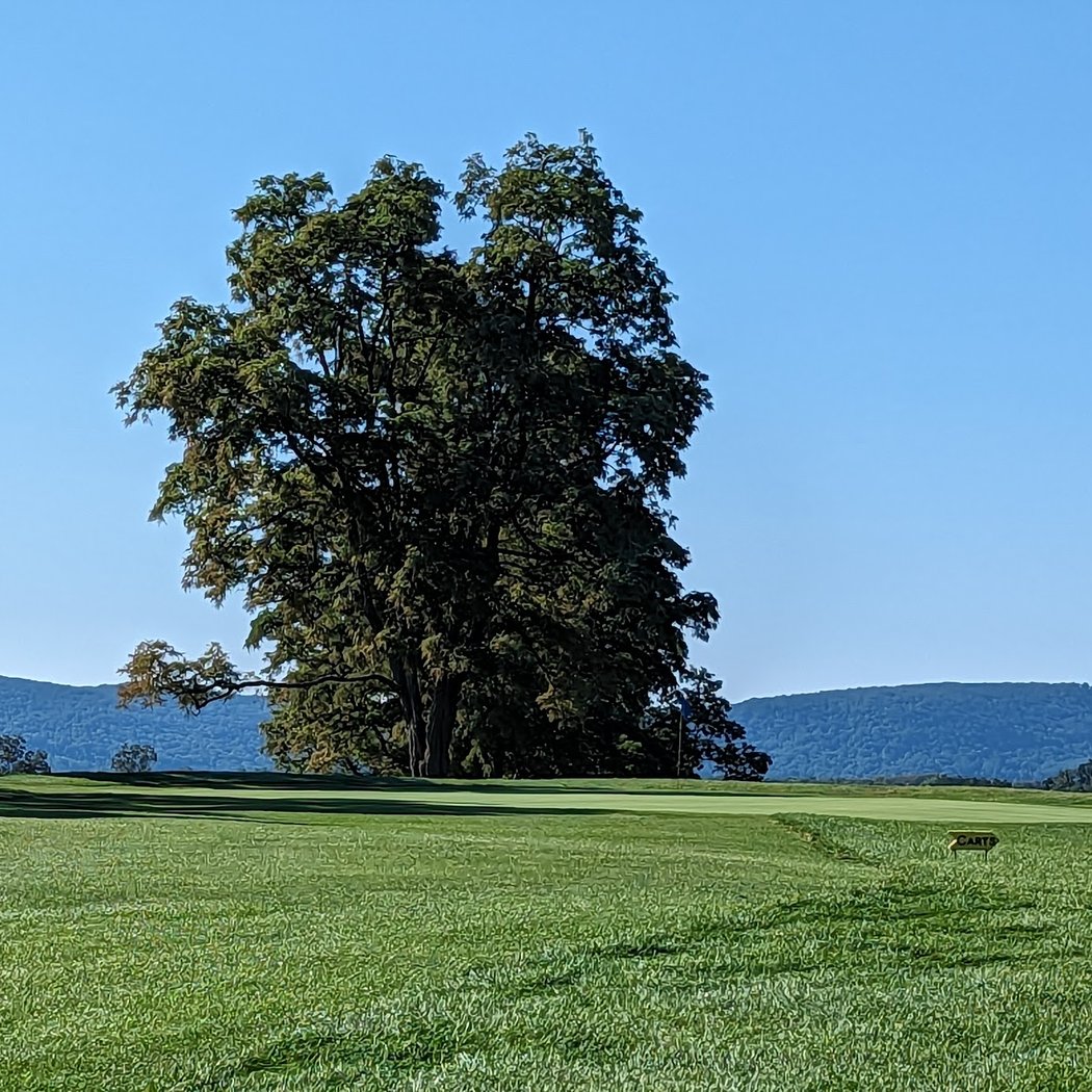 Beekman Golf Course 2