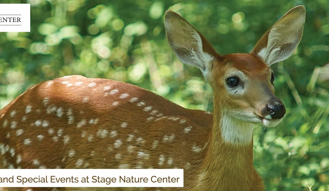 Stage Nature Center 1