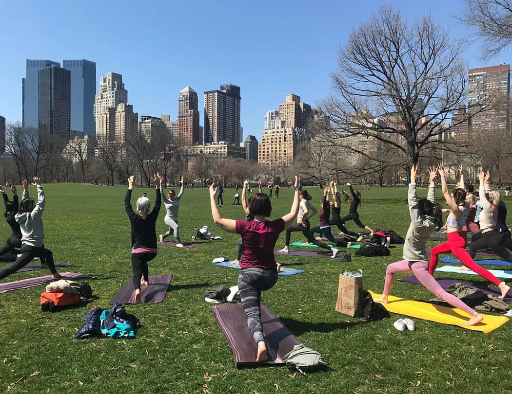 The Yoga Trail 1