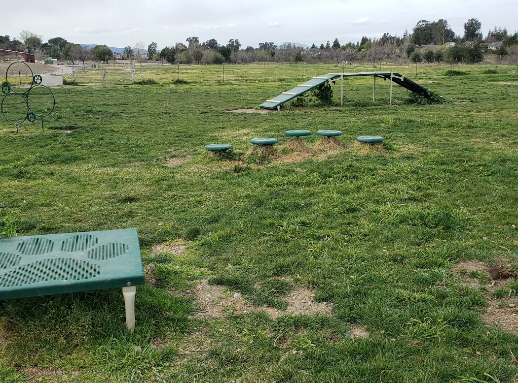 Livermore Canine Park 3