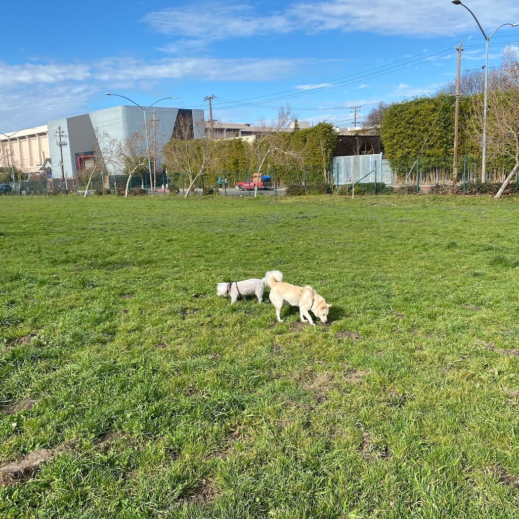 Lower Bottoms Park 2