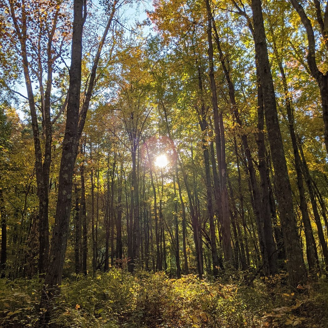 The Preserve at Vassar 3