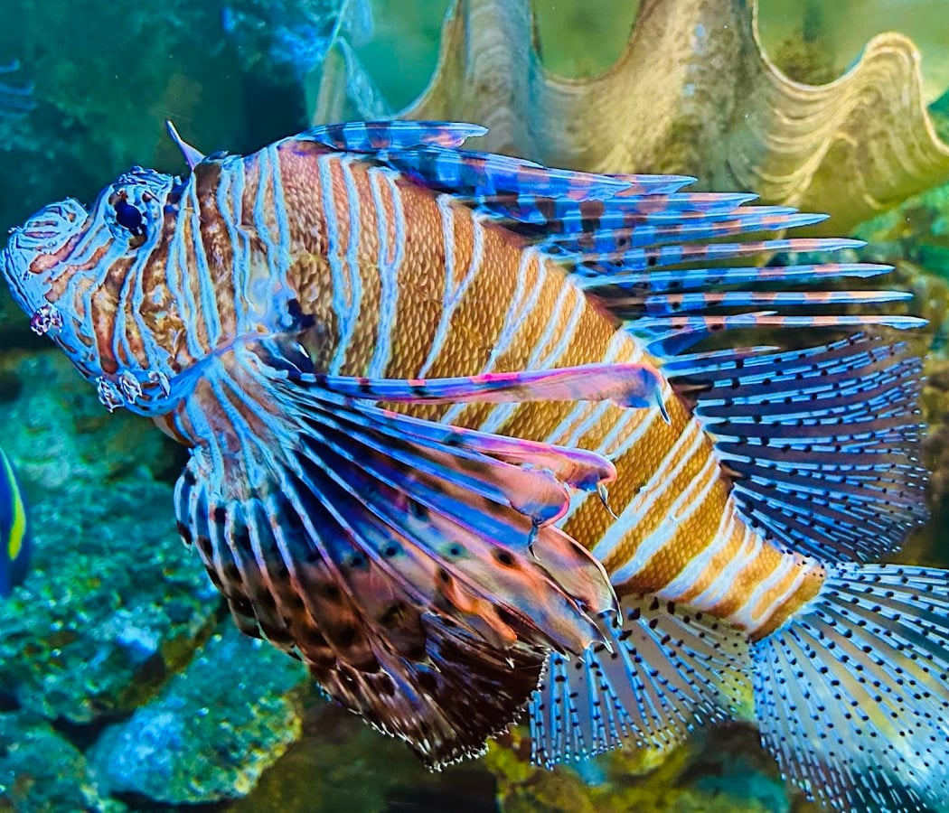 Grand Aquarium de Touraine 4
