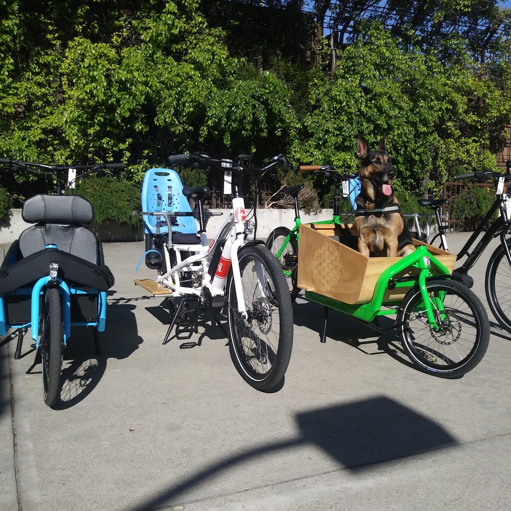 Blue Heron Bikes 1