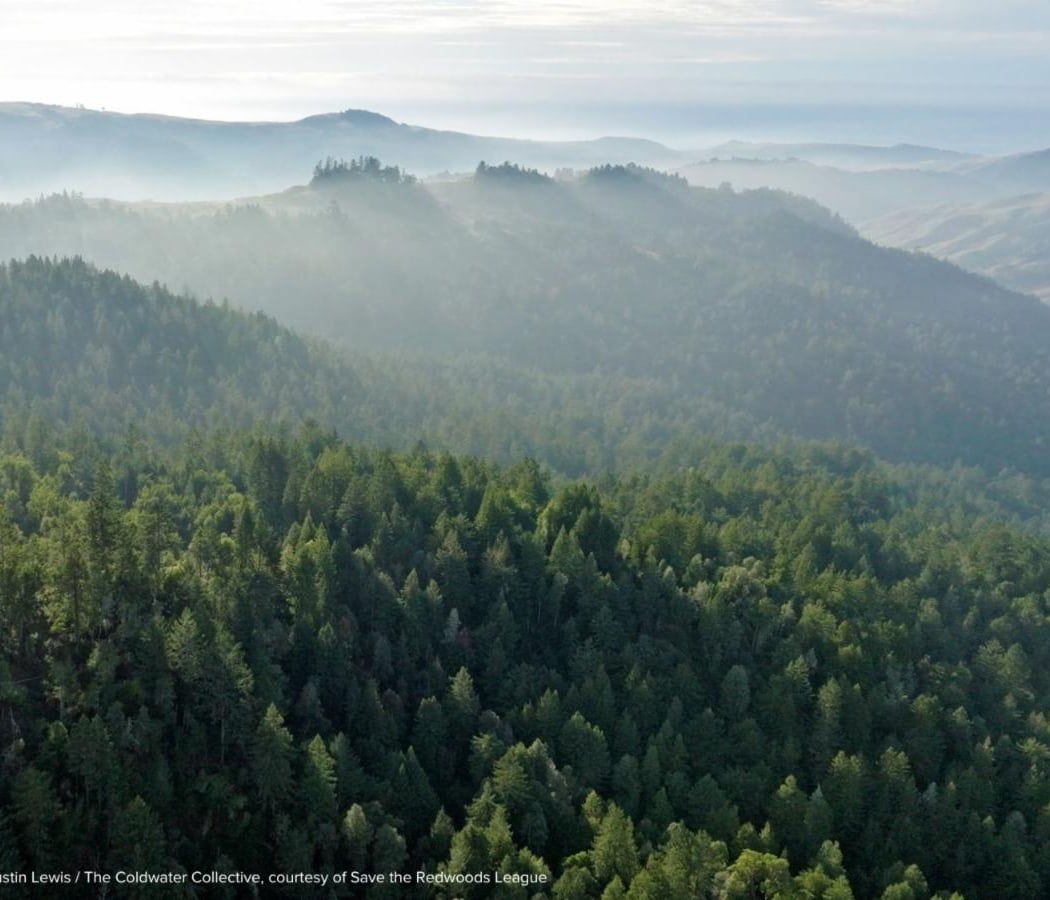 Monte Rio Redwoods Trailhead 2