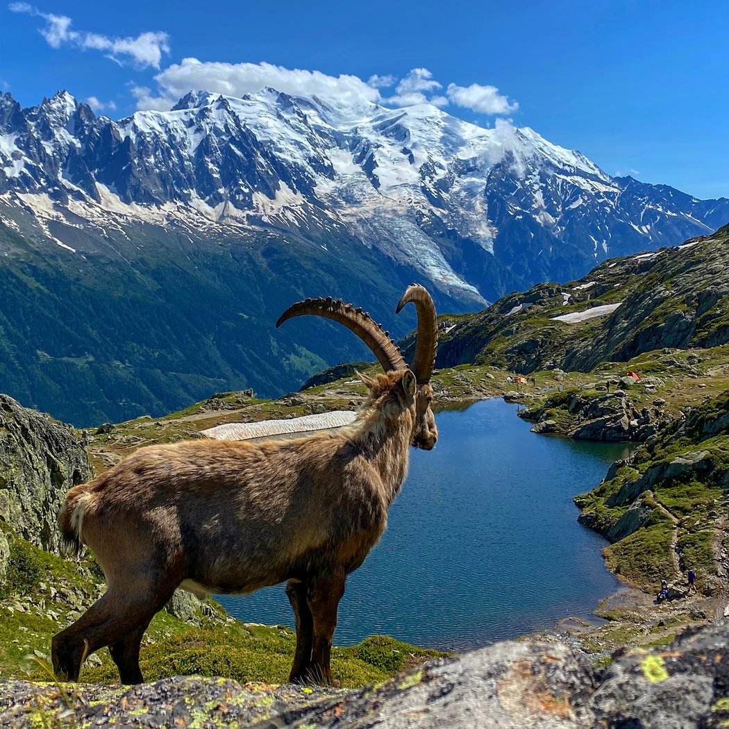 Lacs des Chéserys 1