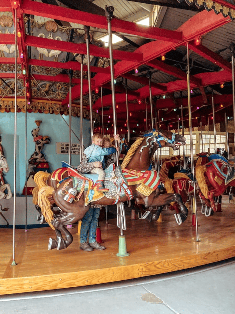 Central Park Carousel 3