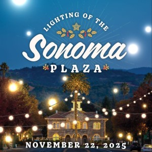 The Lighting of the Plaza 1