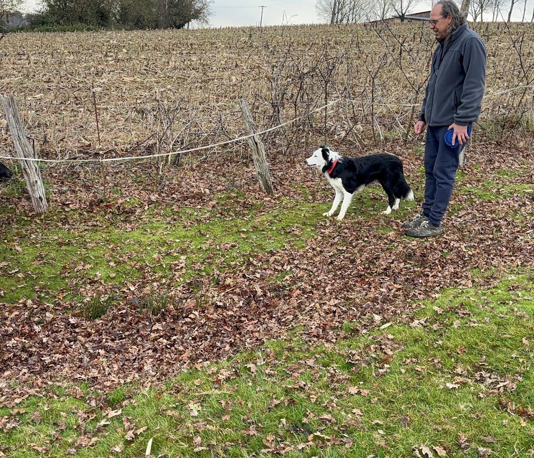 Feli'cyno « Domaine Leylou de Touyarot » 1