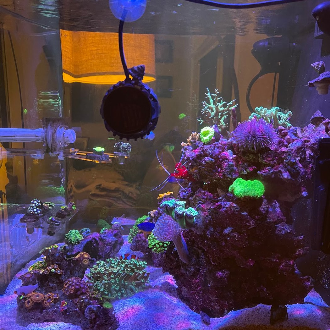 Frank's Frag Farm 3