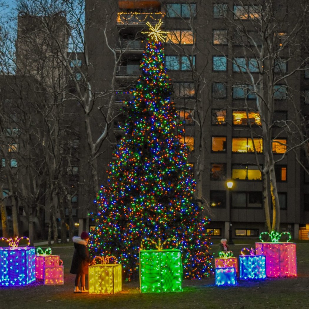 Roosevelt Island Tree Lighting Ceremony 1