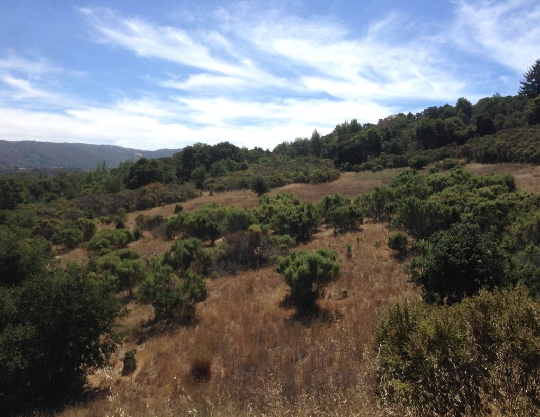 Windy Hill 2