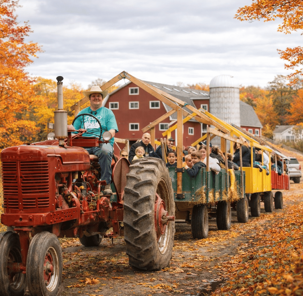 Northern Star Farm's Fall Fest 1