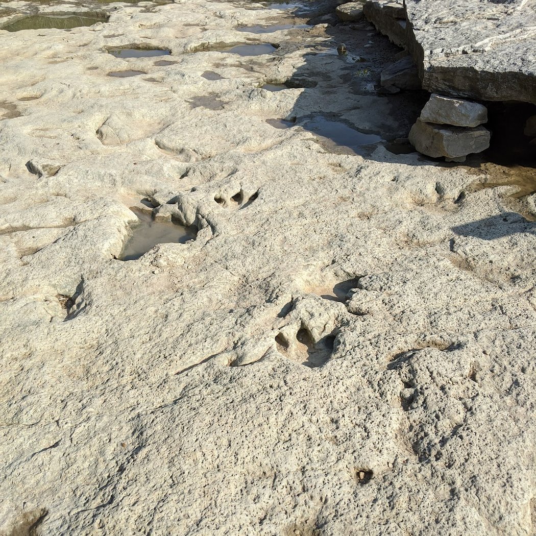 Dinosaur Valley State Park 1