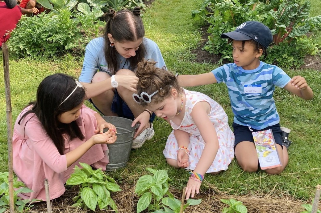 Summer Family Discovery Weekends 3
