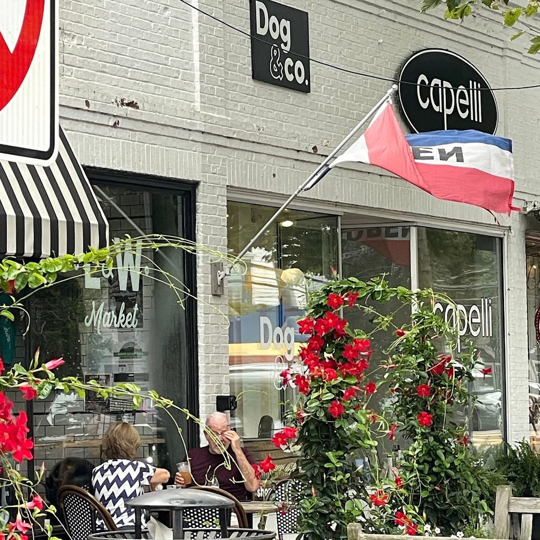 DOG & CO. 2
