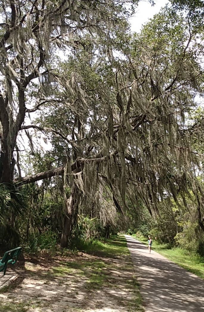 Withlacoochee State Trail 1