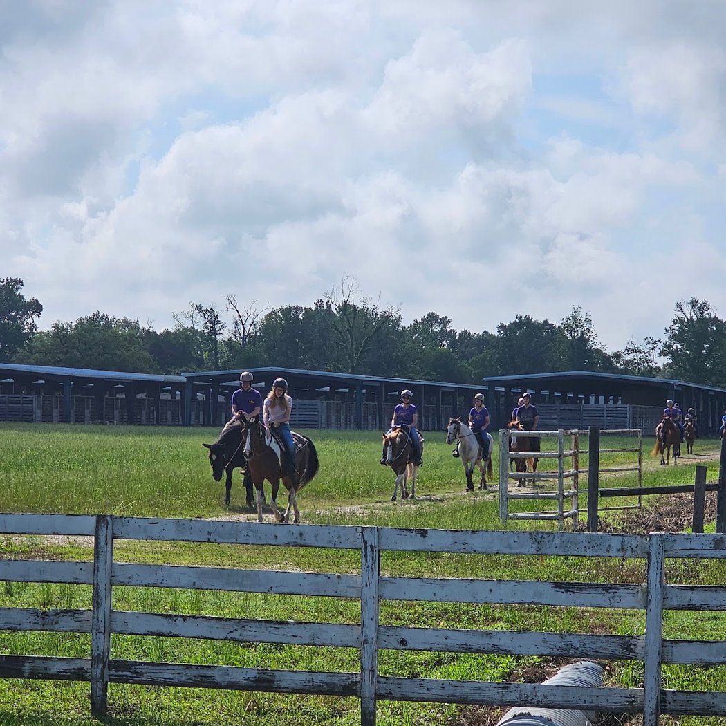 BREC Farr Park Equestrian Center 3