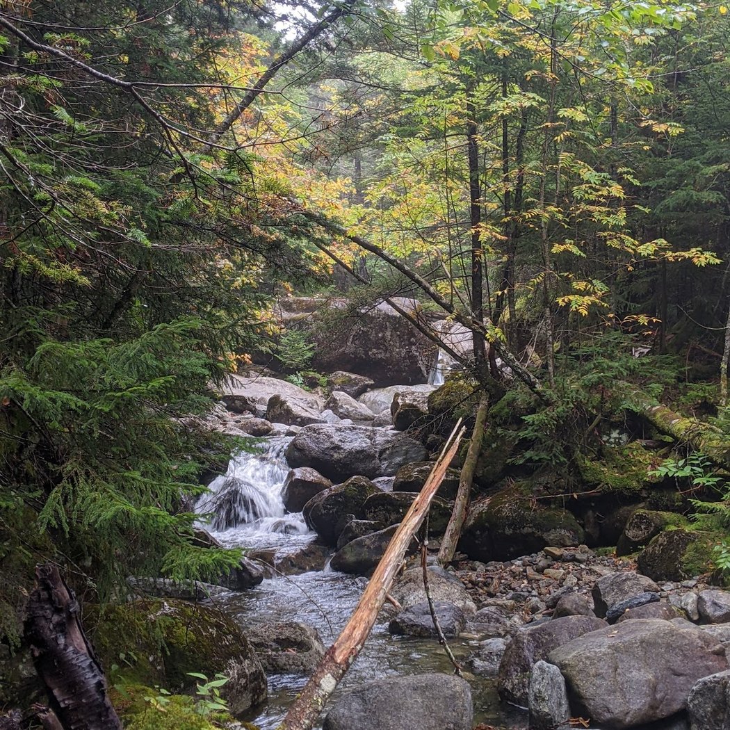 Mt Marcy Trail 2
