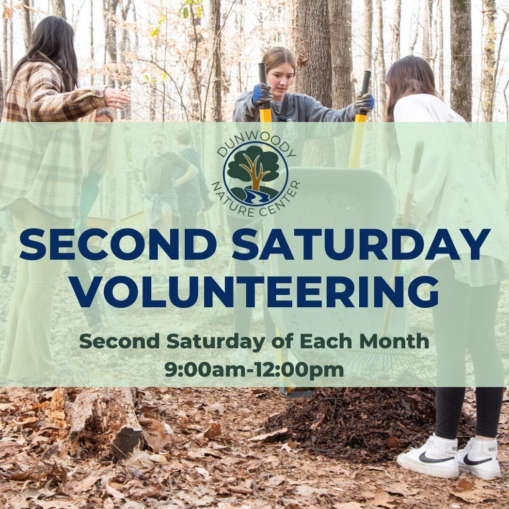 Second Saturday Volunteering 1