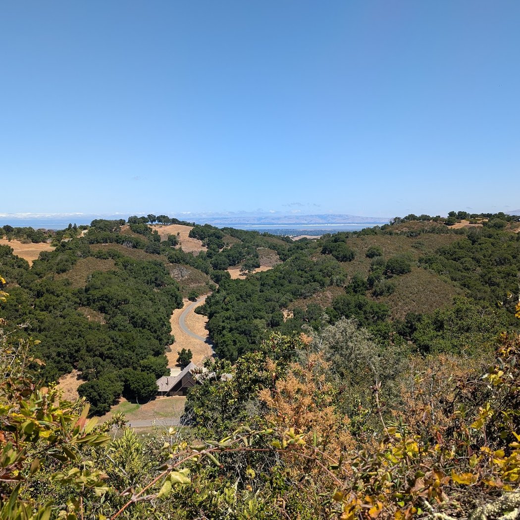 Volunteer Outside with Grassroots Ecology 2