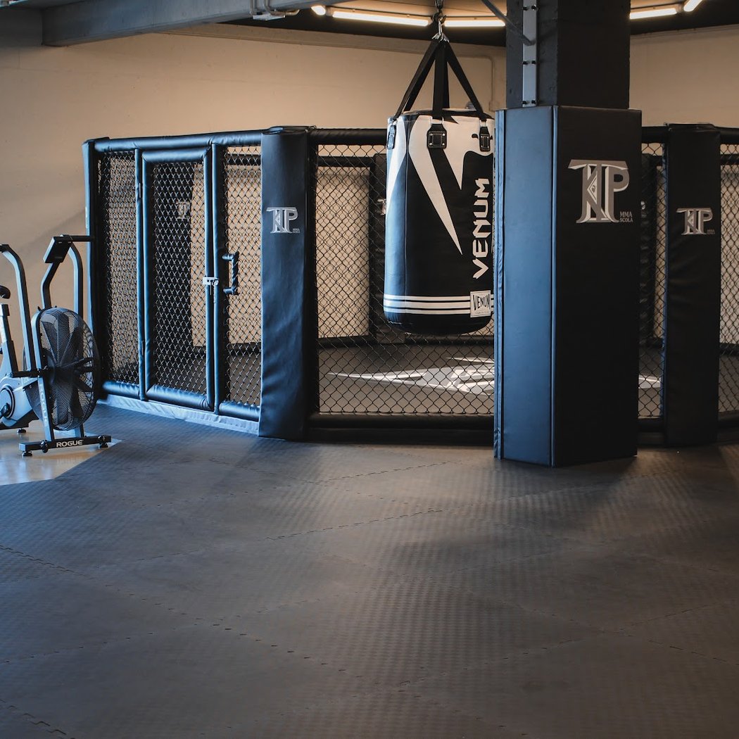 Ktp Mma Scola 2