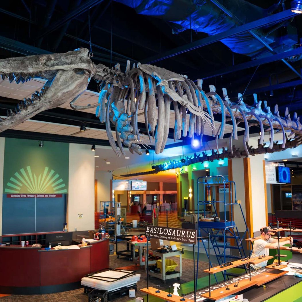 McWane Science Center 2