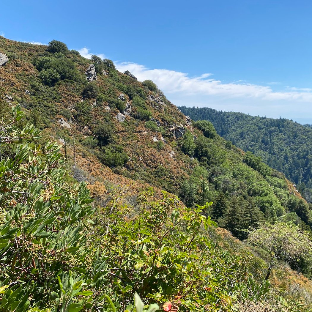 Goat Rock 2