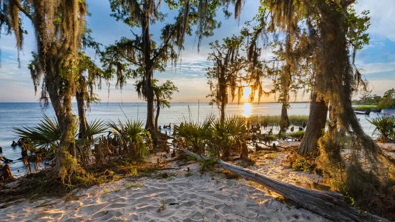 Fontainebleau State Park 4