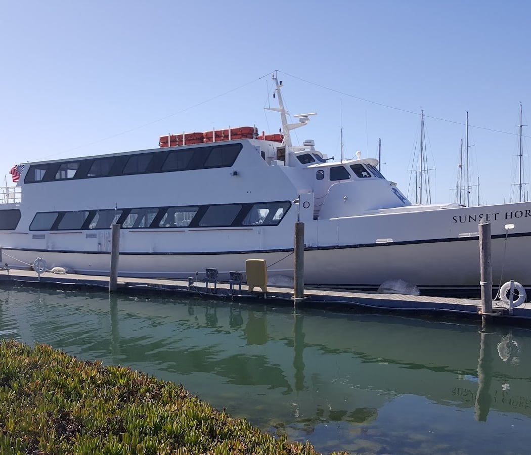 City Cruises 2