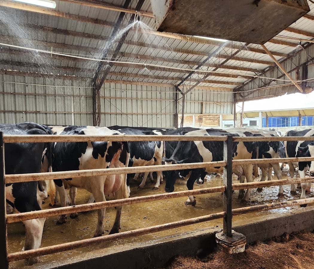 Shatto Milk Company 3