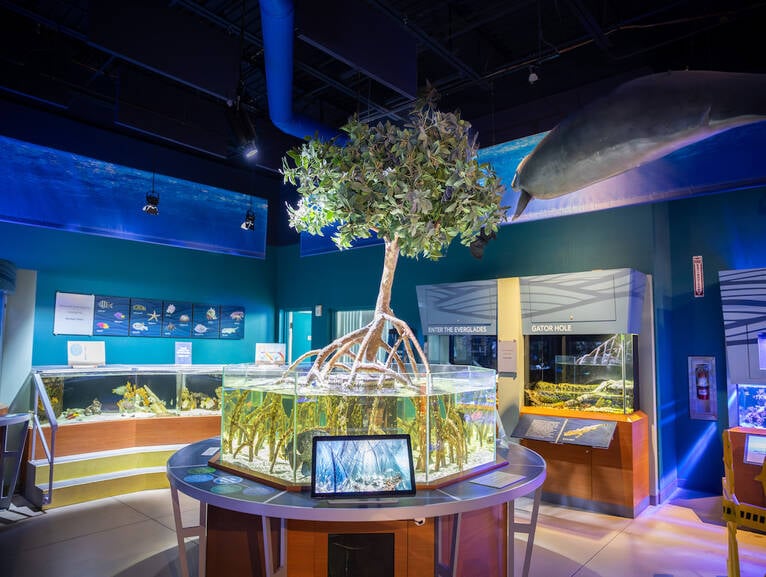 Cox Science Center and Aquarium 1