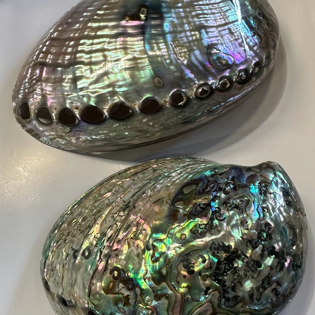 Kumar’s Island Market 1