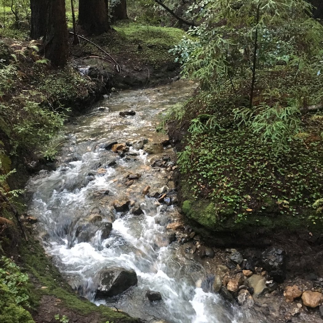 Page Mill Site 3