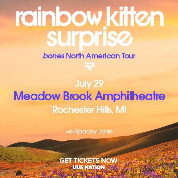 Rainbow Kitten Surprise 1