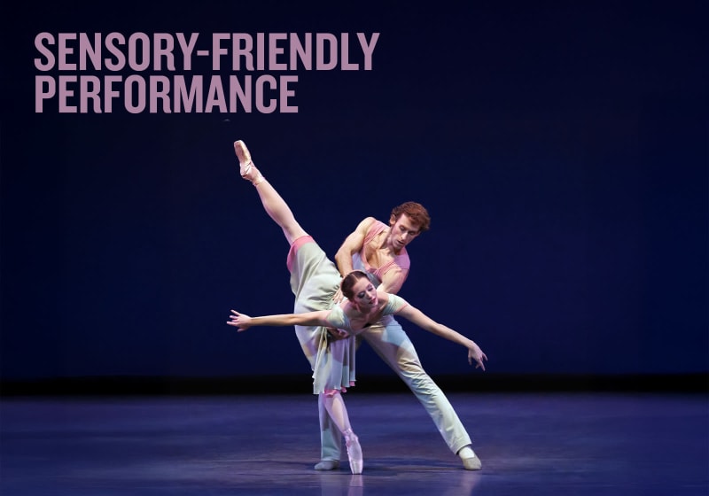 Sensory-Friendly Performance 5
