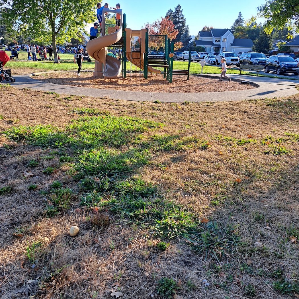 Del Oro Park 2